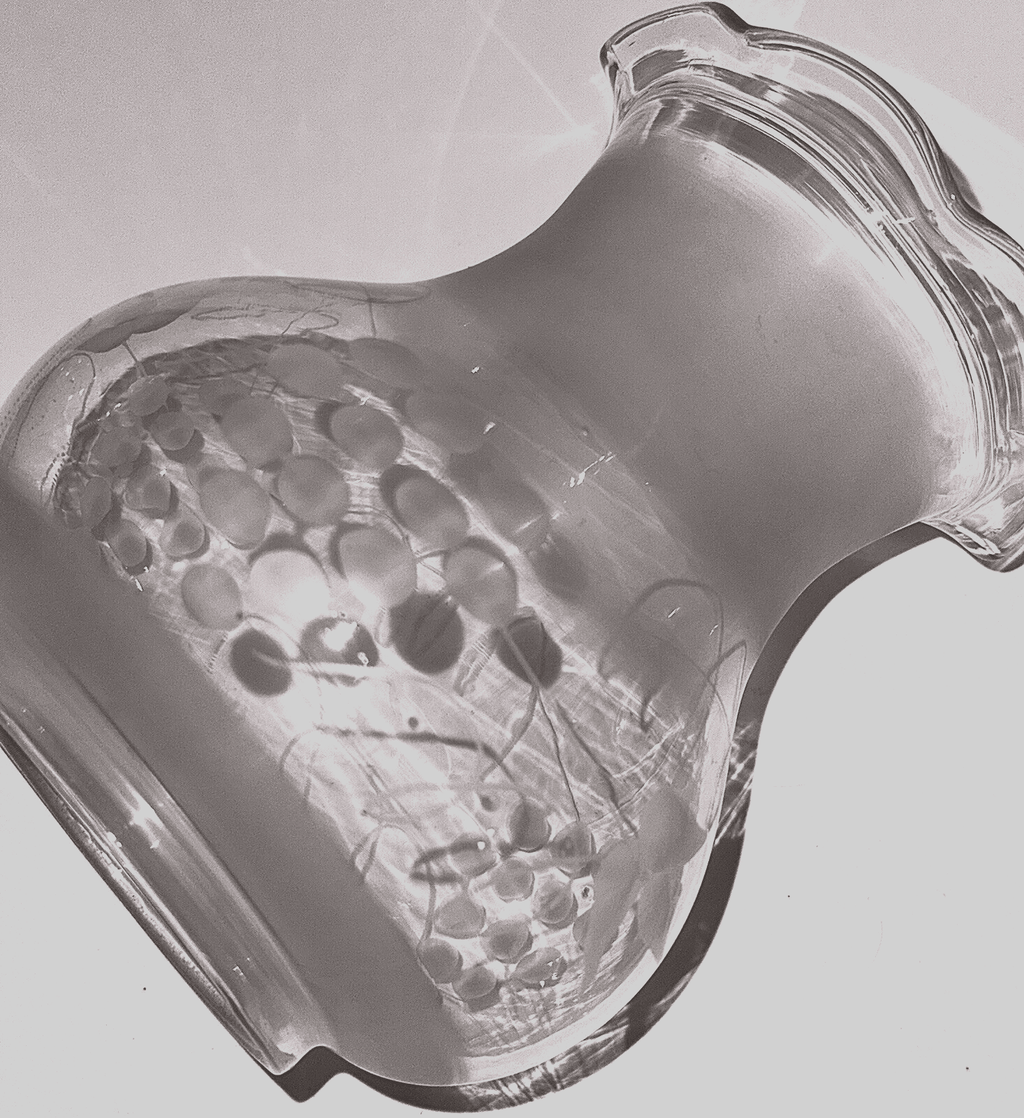 Antique Glass Oregon Lamp Shade Kerosene / Oil Elegant Grape Motif 3 1/4" Fitter - AntiquesEtceteraAntique Glass Oregon Lamp Shade Kerosene / Oil Elegant Grape Motif 3 1/4" FitterAntique LightingAntiquesEtceteraAntiquesEtcetera