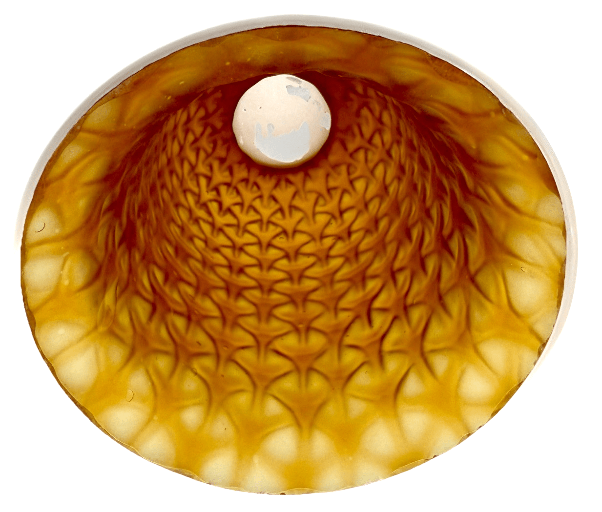 Iridescent Amber Glass Celtic Lamp Shade 6" High Lovely Rare Geometric Pattern - AntiquesEtceteraIridescent Amber Glass Celtic Lamp Shade 6" High Lovely Rare Geometric PatternUnbrandedAntiquesEtcetera