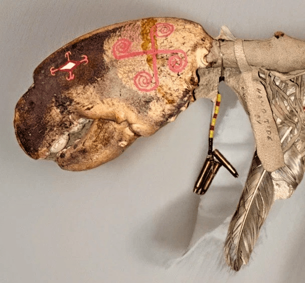 Native American Beaded Gourd Ceremonial Dance Rattle Handmade by Owl Beaver VTG - AntiquesEtceteraNative American Beaded Gourd Ceremonial Dance Rattle Handmade by Owl Beaver VTGAntiquesEtceteraAntiquesEtcetera