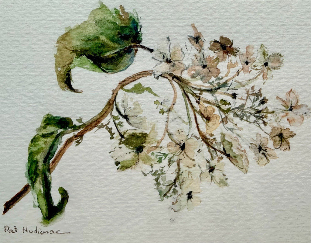Original Watercolor by Pat Hudimac Flowering Dogwood Signed, Matted, Gold Frame - AntiquesEtceteraOriginal Watercolor by Pat Hudimac Flowering Dogwood Signed, Matted, Gold FrameAntiquesEtceteraAntiquesEtcetera