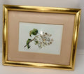 Original Watercolor by Pat Hudimac Flowering Dogwood Signed, Matted, Gold Frame - AntiquesEtceteraOriginal Watercolor by Pat Hudimac Flowering Dogwood Signed, Matted, Gold FrameAntiquesEtceteraAntiquesEtcetera