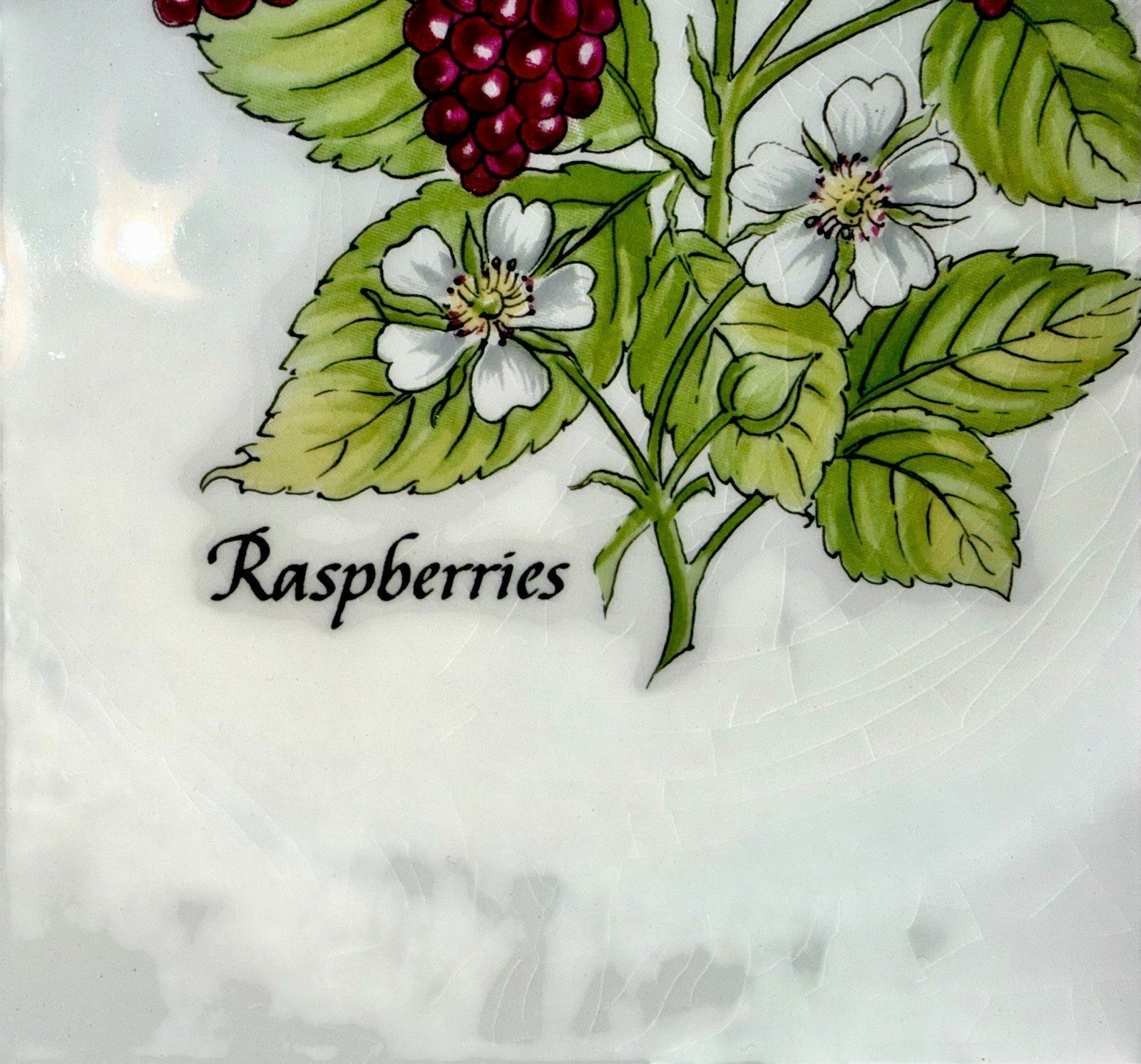 Tiffany & Co NY Fruit Dessert Service for 4 Staffordshire Garden Johnson Bros. - AntiquesEtceteraTiffany & Co NY Fruit Dessert Service for 4 Staffordshire Garden Johnson Bros.Tiffany & Co.AntiquesEtcetera